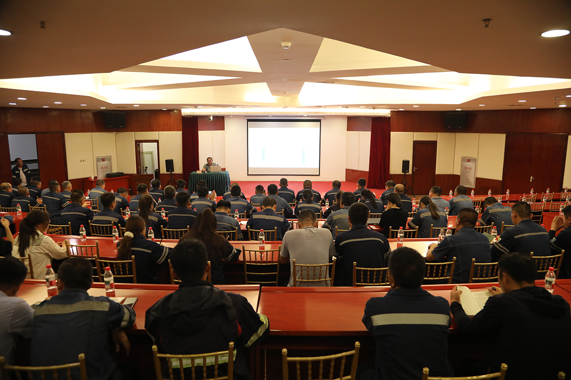 12e249c2-525e-11f0-9001-8cbd52c5c617.jpg 12e249c2-525e-11f0-9001-8cbd52c5c617.jpg