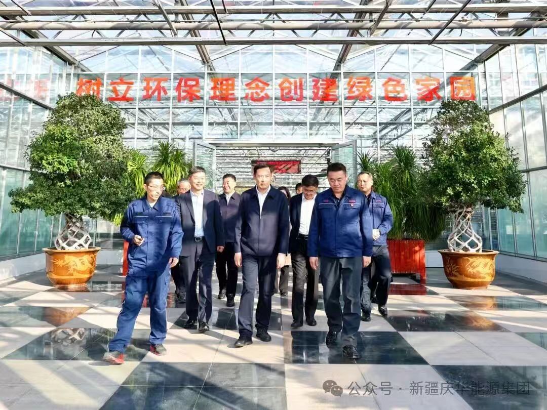 84a4dfcb-af10-11f0-bd07-fea6c39cc3af.jpg 84a4dfcb-af10-11f0-bd07-fea6c39cc3af.jpg